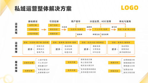 軟件運營服務(wù)公司產(chǎn)品介紹PPT模板